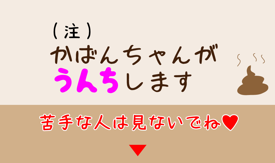 注※かばんちゃんがうんちします